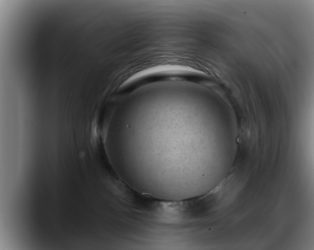 X0000088830188200706141527