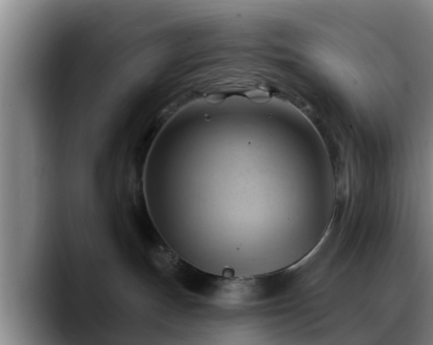 X0000088830191200706141527