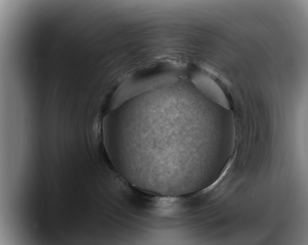 X0000088830192200706141527