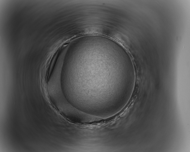 X0000088830193200706141527