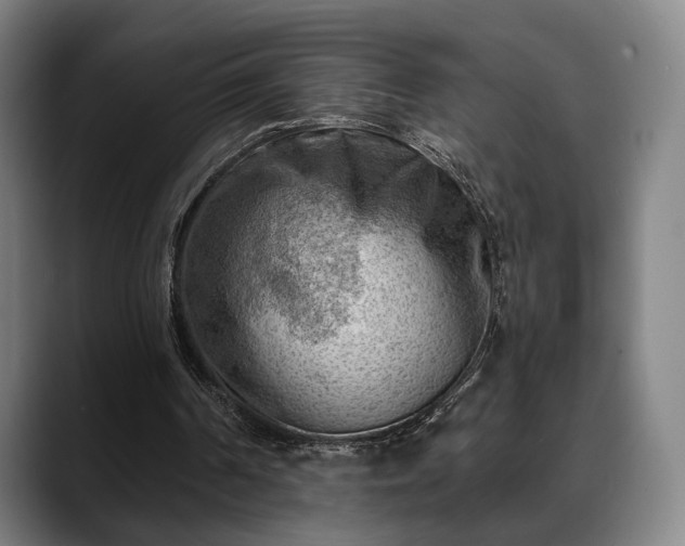 X0000088830194200706141527