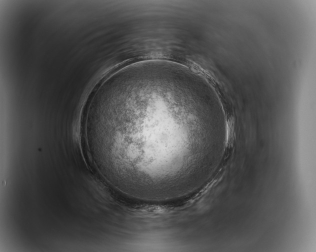 X0000088830195200706141527