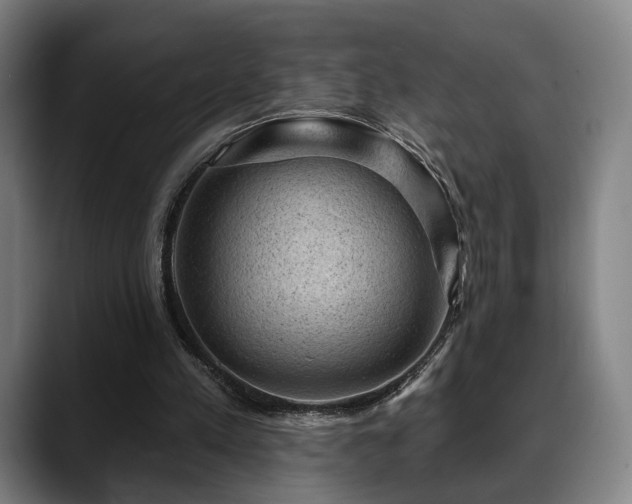 X0000088830197200706141527