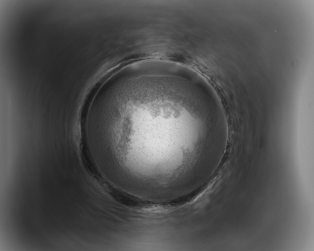 X0000088830198200706141527