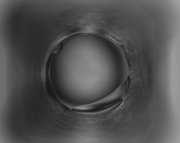 X0000088830200200706141526