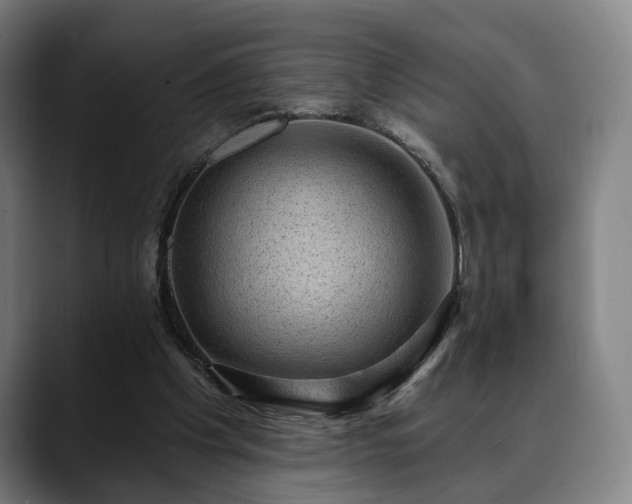 X0000088830201200706141526