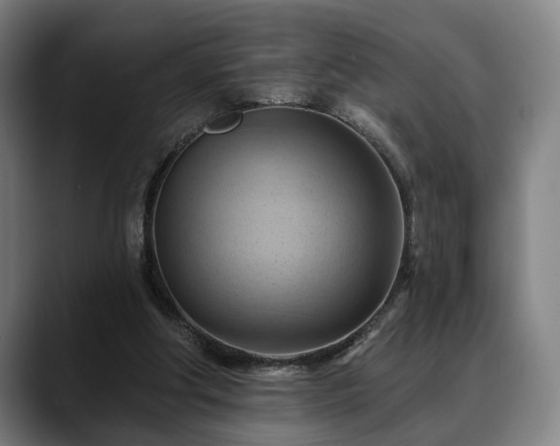 X0000088830202200706141526