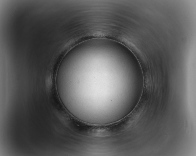 X0000088830208200706141526