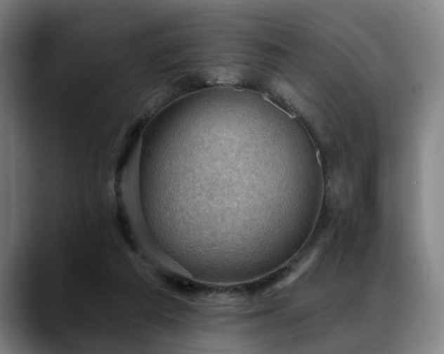 X0000088830209200706141526