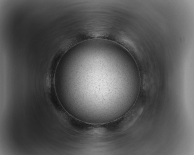 X0000088830210200706141526