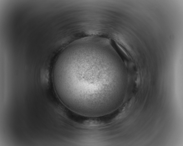 X0000088830211200706141526