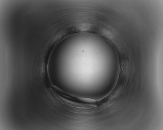 X0000088830212200706141526