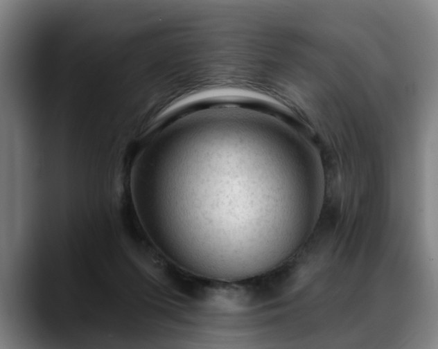 X0000088830215200706141526