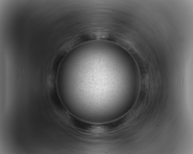 X0000088830218200706141526