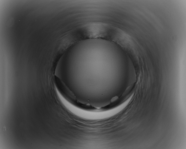 X0000088830219200706141526