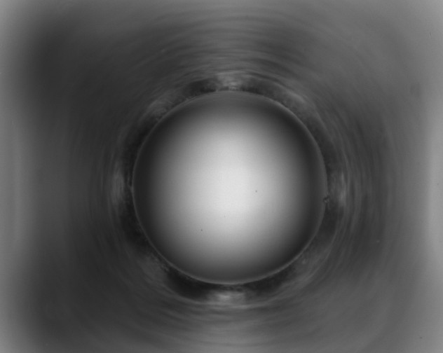 X0000088830220200706141526