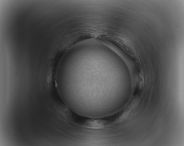 X0000088830221200706141526