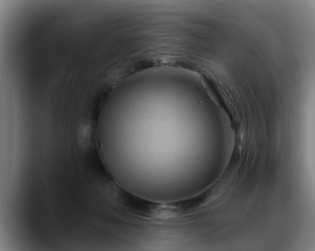 X0000088830222200706141526