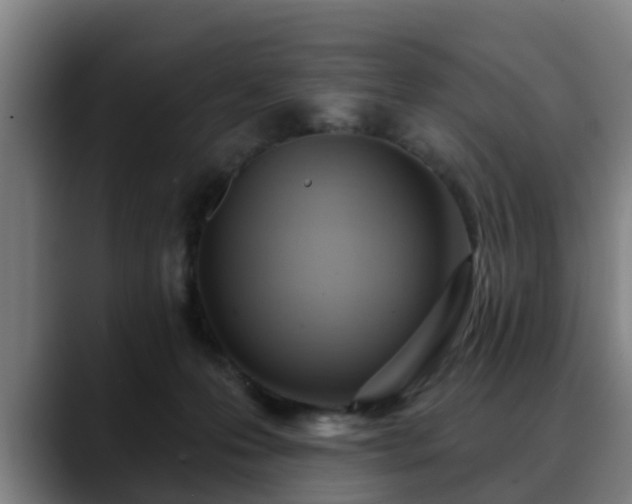 X0000088830223200706141526