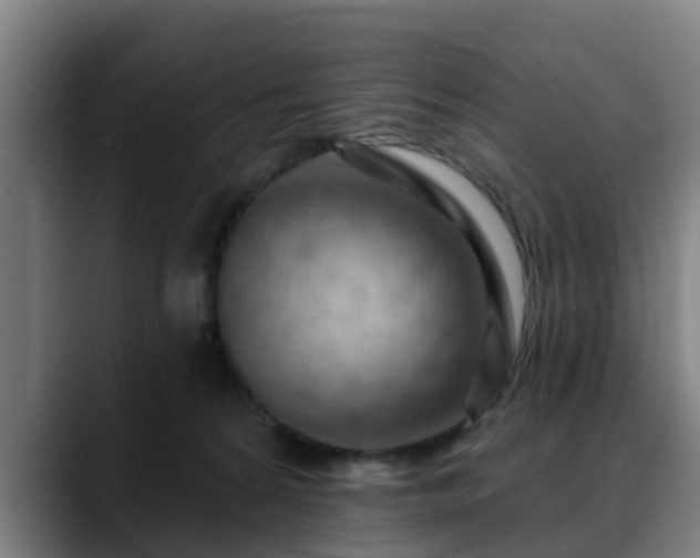 X0000088830224200706141526