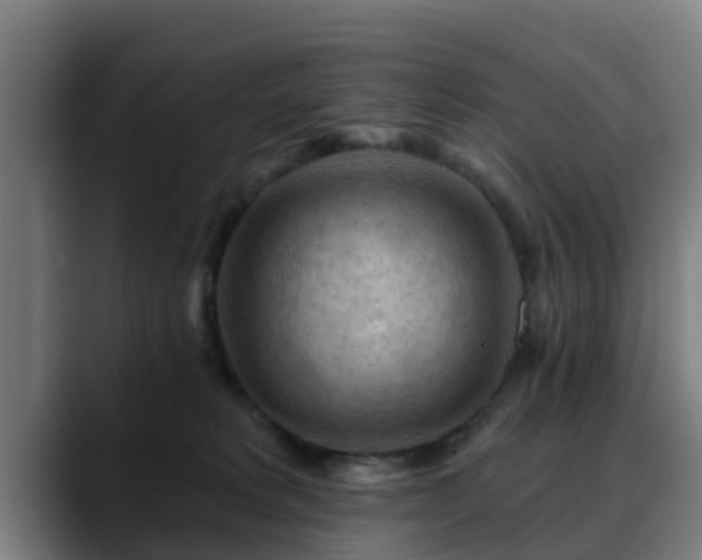 X0000088830229200706141526