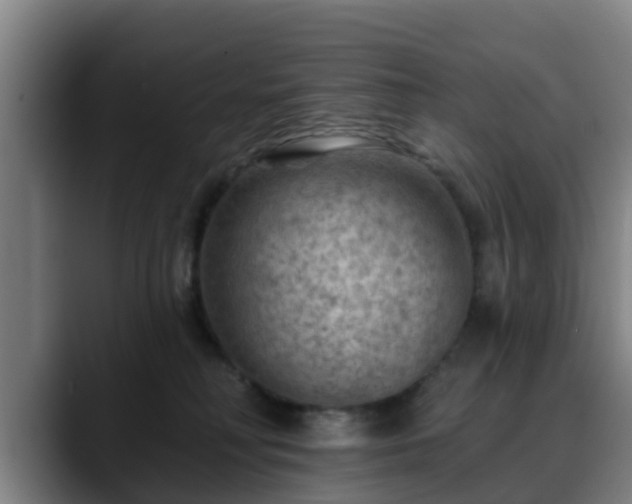 X0000088830230200706141526