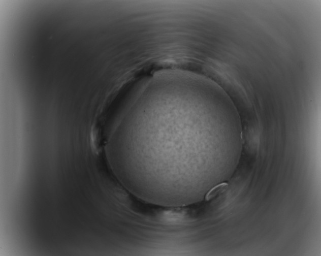 X0000088830232200706141526