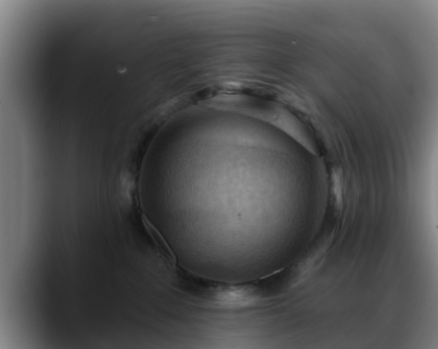 X0000088830235200706141526