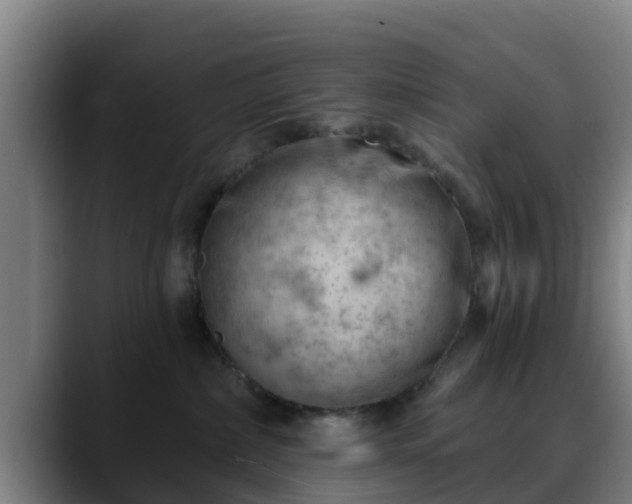 X0000088830236200706141526