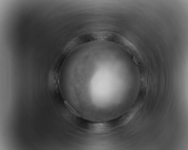 X0000088830237200706141526