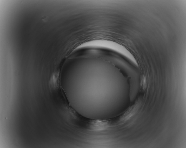 X0000088830239200706141526