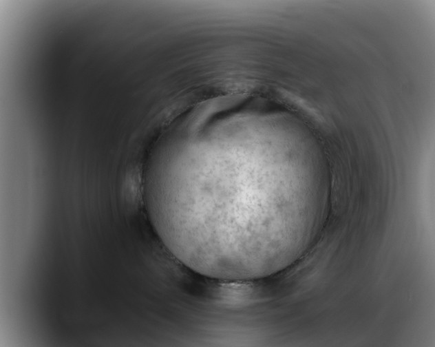 X0000088830240200706141526