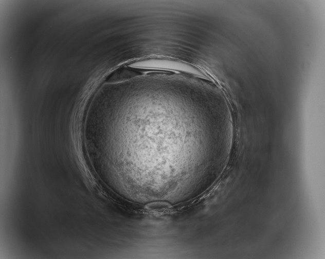 X0000088830241200706141525