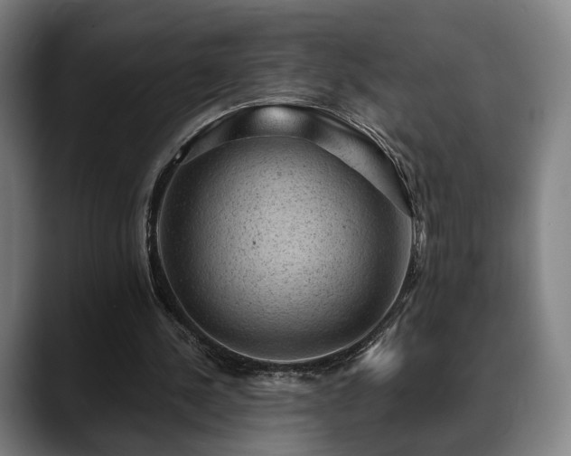 X0000088830244200706141526