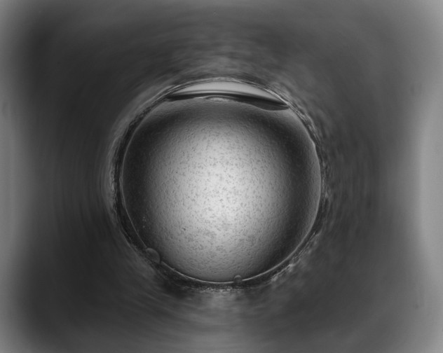 X0000088830245200706141526