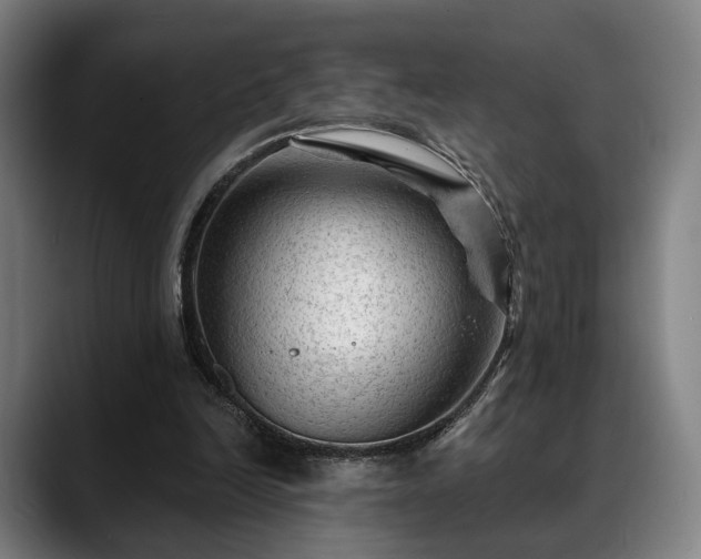 X0000088830246200706141526