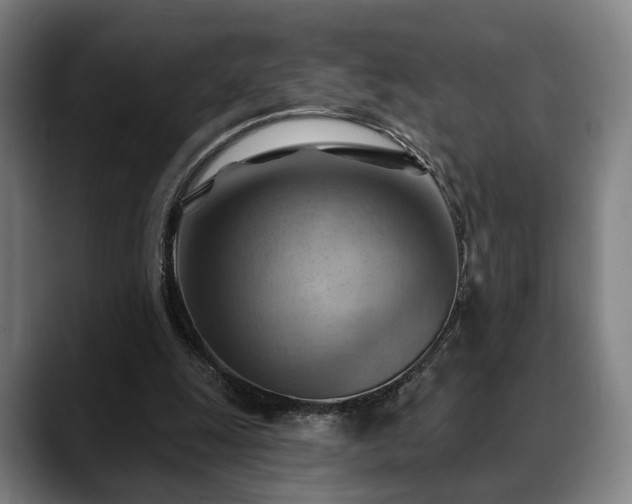 X0000088830247200706141526