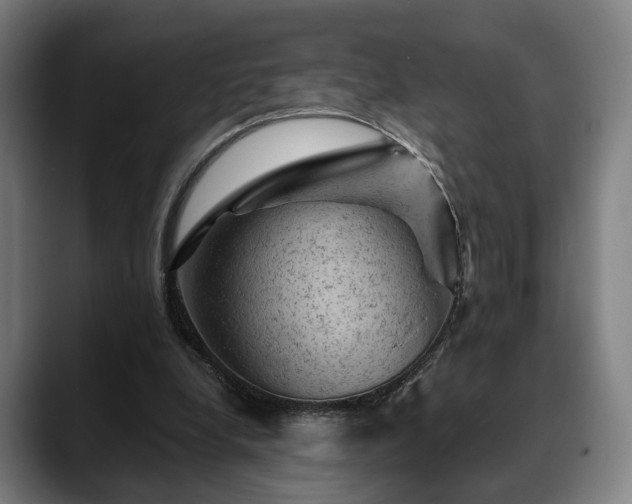 X0000088830248200706141526