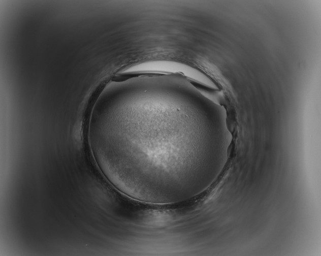 X0000088830250200706141526