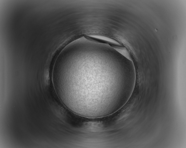 X0000088830251200706141526