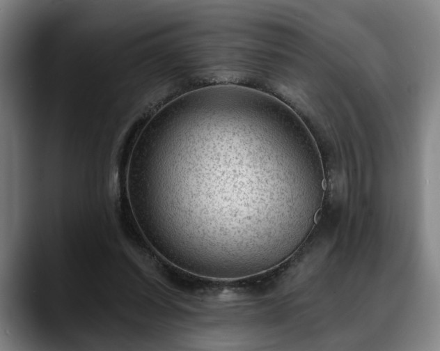 X0000088830254200706141526