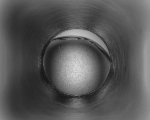 X0000088830255200706141526