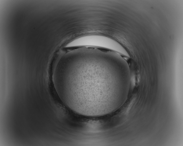 X0000088830256200706141526