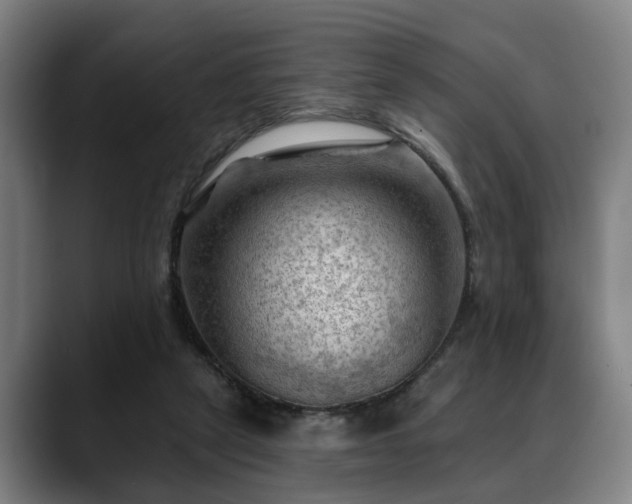 X0000088830257200706141526