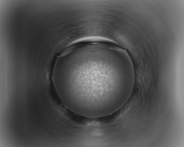 X0000088830258200706141526