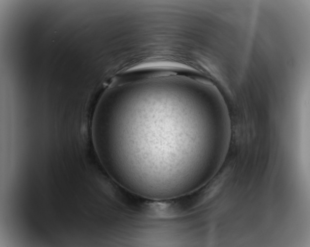 X0000088830265200706141526