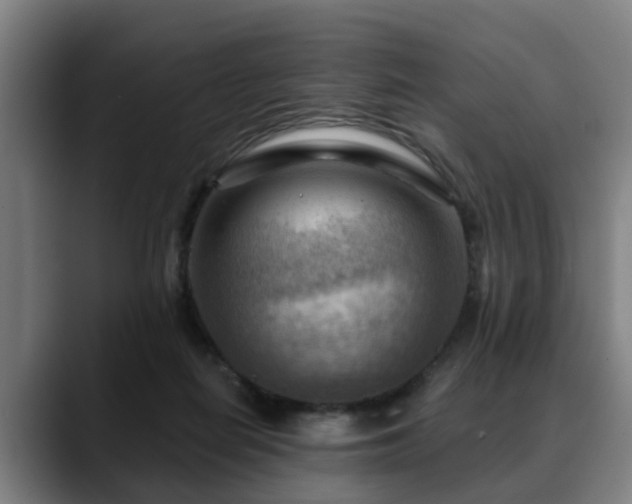 X0000088830266200706141526