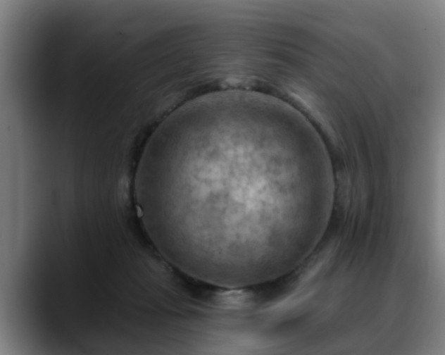 X0000088830269200706141526