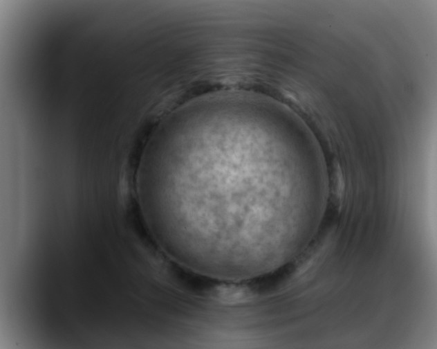 X0000088830272200706141526