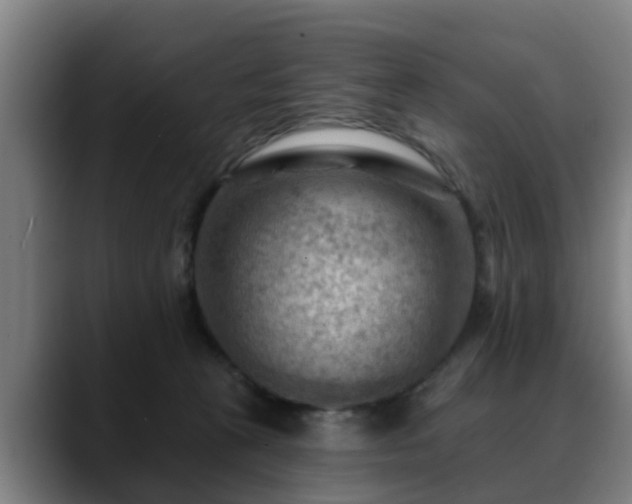 X0000088830273200706141526